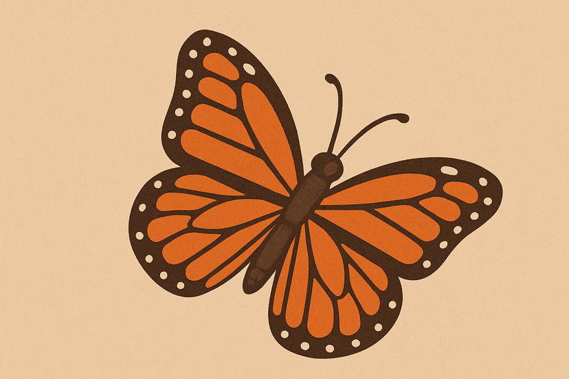 What's your butterfly effect?